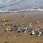 Apartment Near In 54722