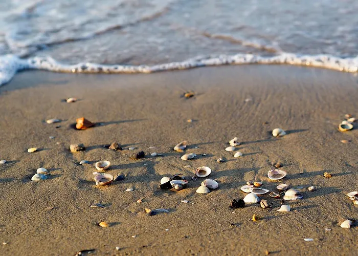 Appartamento Near In Bibione 54722